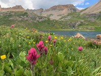 Jenny Lake with field and flowers