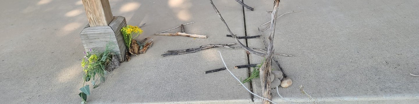 Elements from nature: sticks, plants, rocks, and bark. Found items on campus from a student design session.