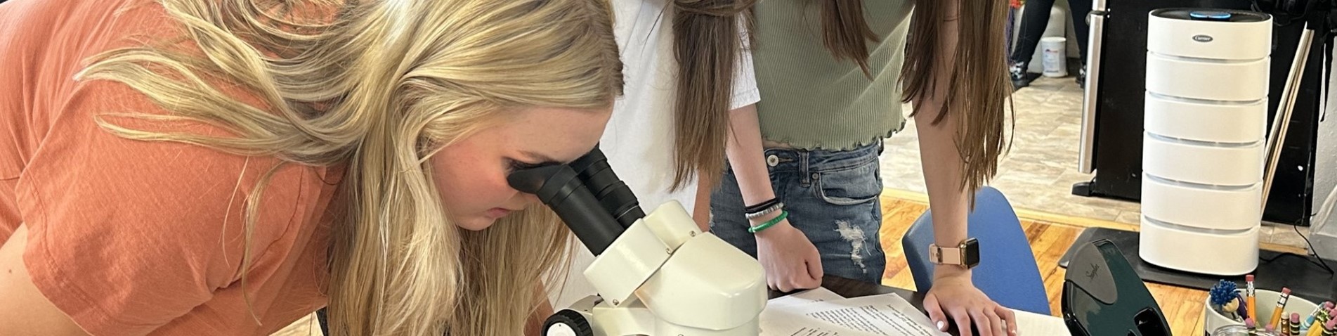 Biology-river fauna