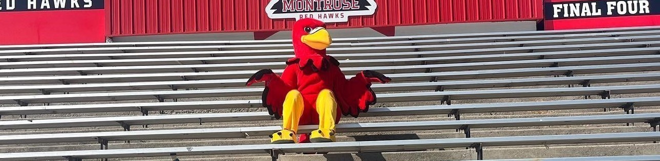 Red Hawks Mascot