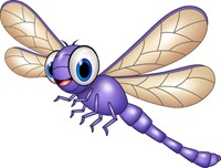 Purple Dragonfly