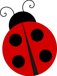 Red Ladybug