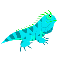 Aqua Iguanas