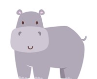 Gray Hippos